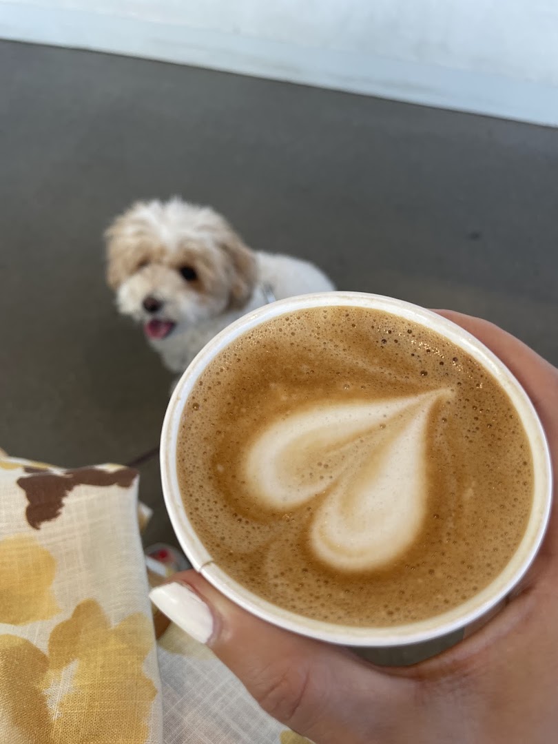 Blue Bottle Coffee — Cafes in Los Angeles