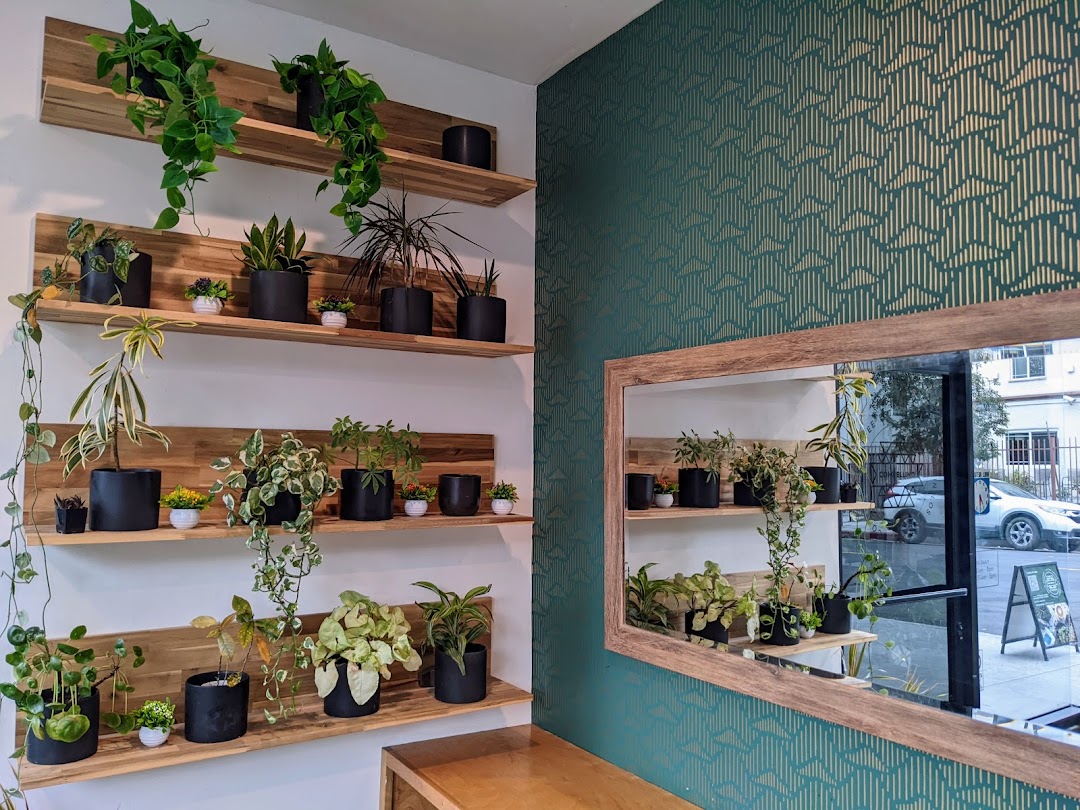 Compelling Coffee Roasters — Cafes in Los Angeles
