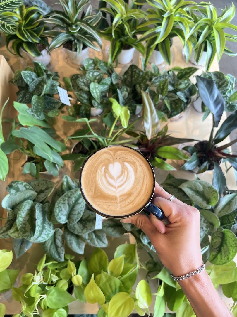 SACHI.LA — Cafes in Los Angeles