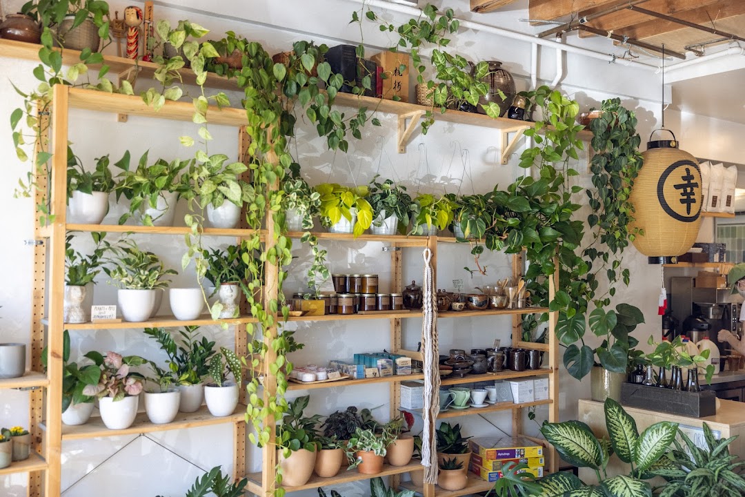 SACHI.LA — Cafes in Los Angeles