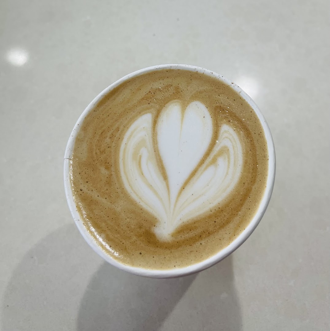 Sleepy Seal Coffee Shop — Cafes in Los Angeles